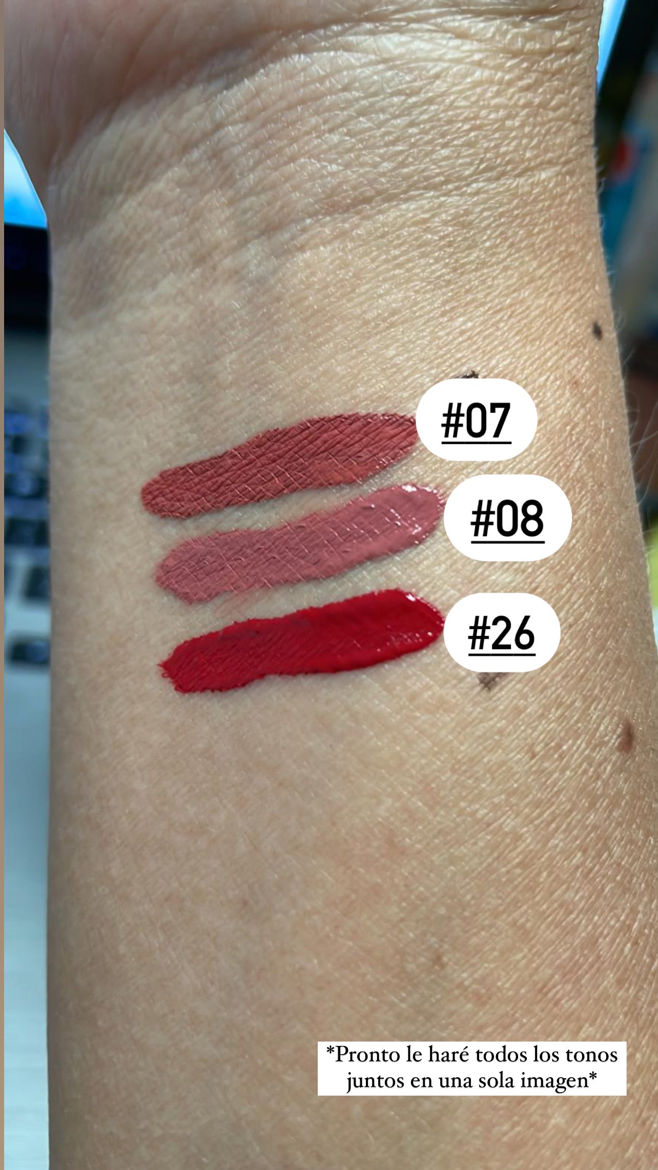 Lipsticks Matte Water Proof